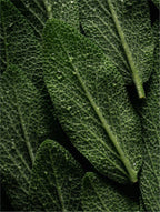 Keratino Kondicionierius 390 ml